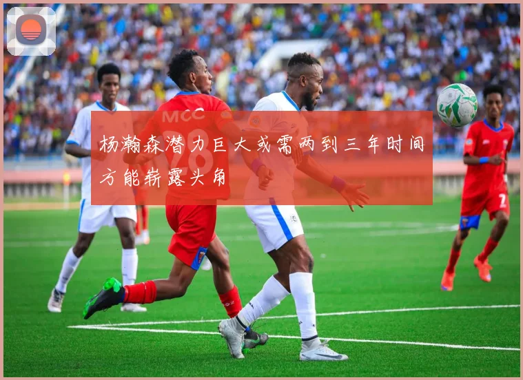 杨瀚森潜力巨大或需两到三年时间方能崭露头角